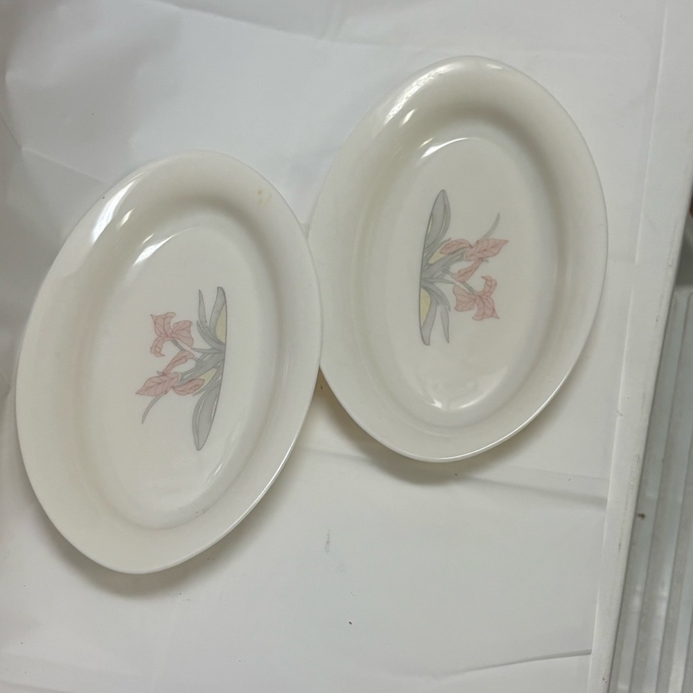 Set of 2 Arcopal France Pickle trays.
